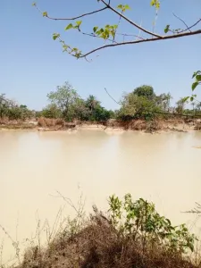 Terreno edificable En venta 0000 Brikama Gambia  DE