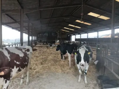 Granja En venta 54000 GRAFIGNY FR