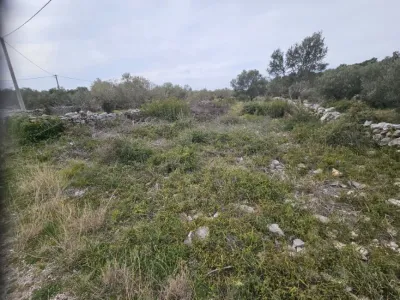 Terreno edificable En venta 22213 Pirovac HR
